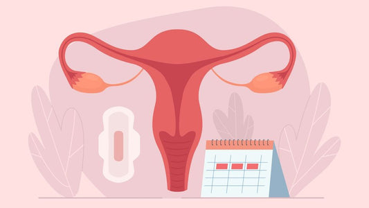 Understanding what activities to do in which week of menstrual cycle